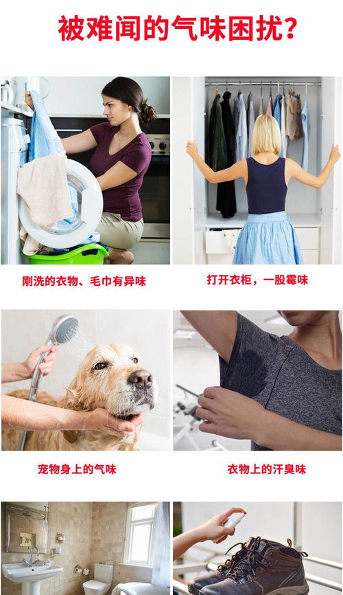 衣物煥新香 探索持久留香型多用途洗護產品的魅力